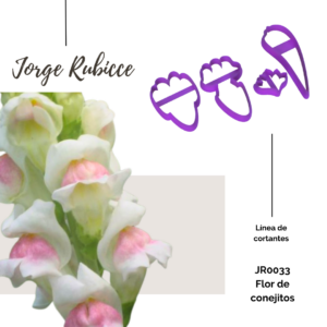 Flor de conejitos